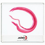 Schistosoma in Copula